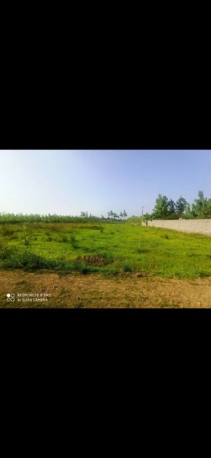 ۳۰۰متر زمین باغی داخل طرح هادی