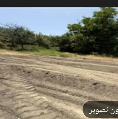 یک قطعه زمین شورایی گلمکان