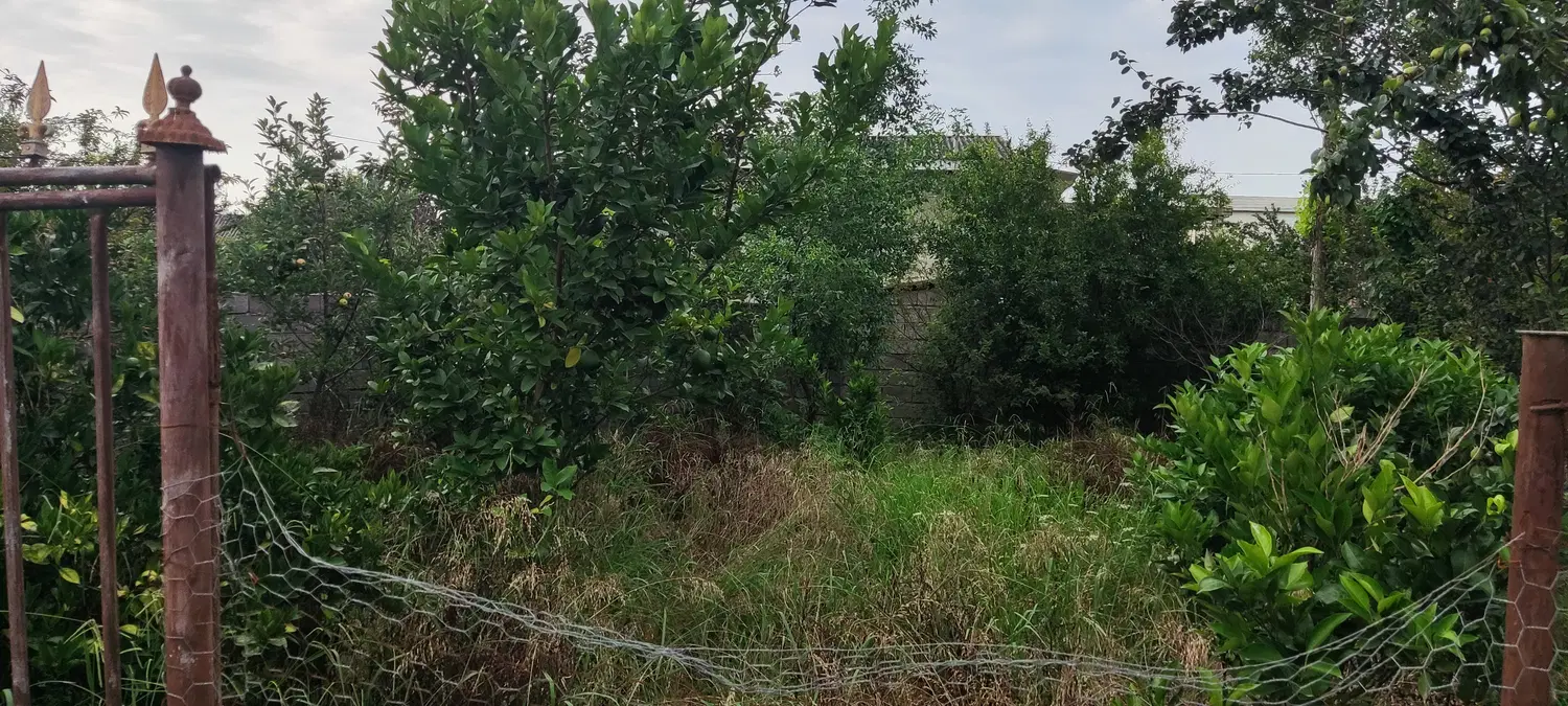 زمین مسکونی ۱۶۵ متری جنوب بابل