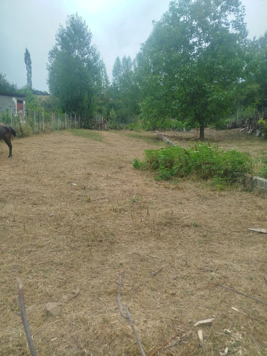 زمین با ویوی ابدی مناسب سرمایه گذاری
