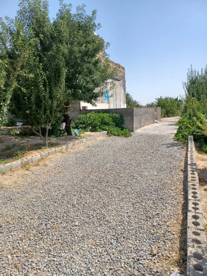 زمین کشاورزی
