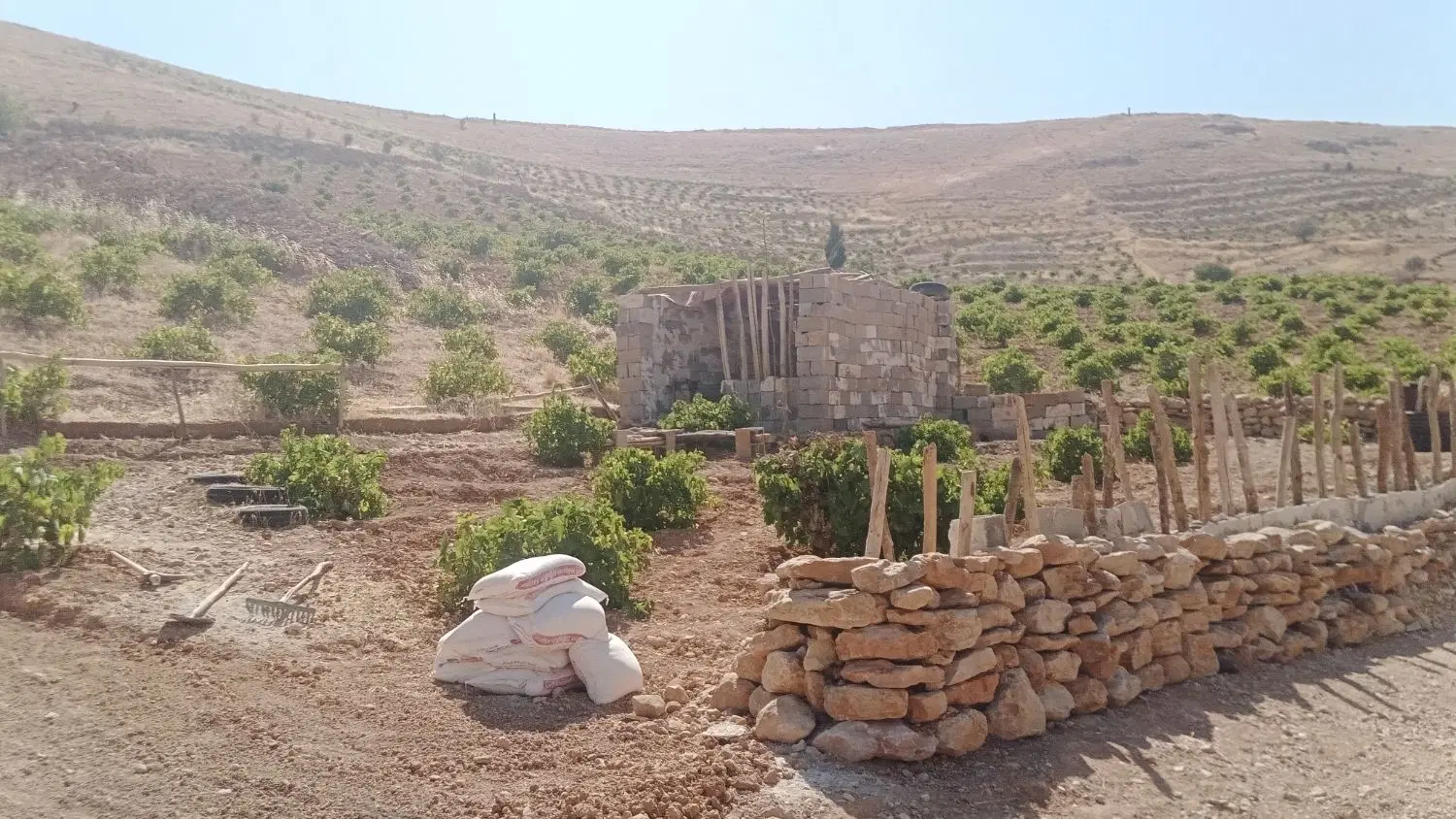 باغچه