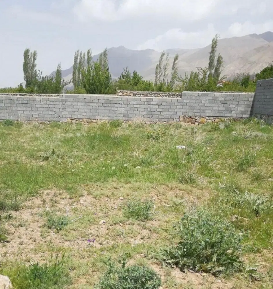 زمین مزروعی مناسب سرمایه گذاری