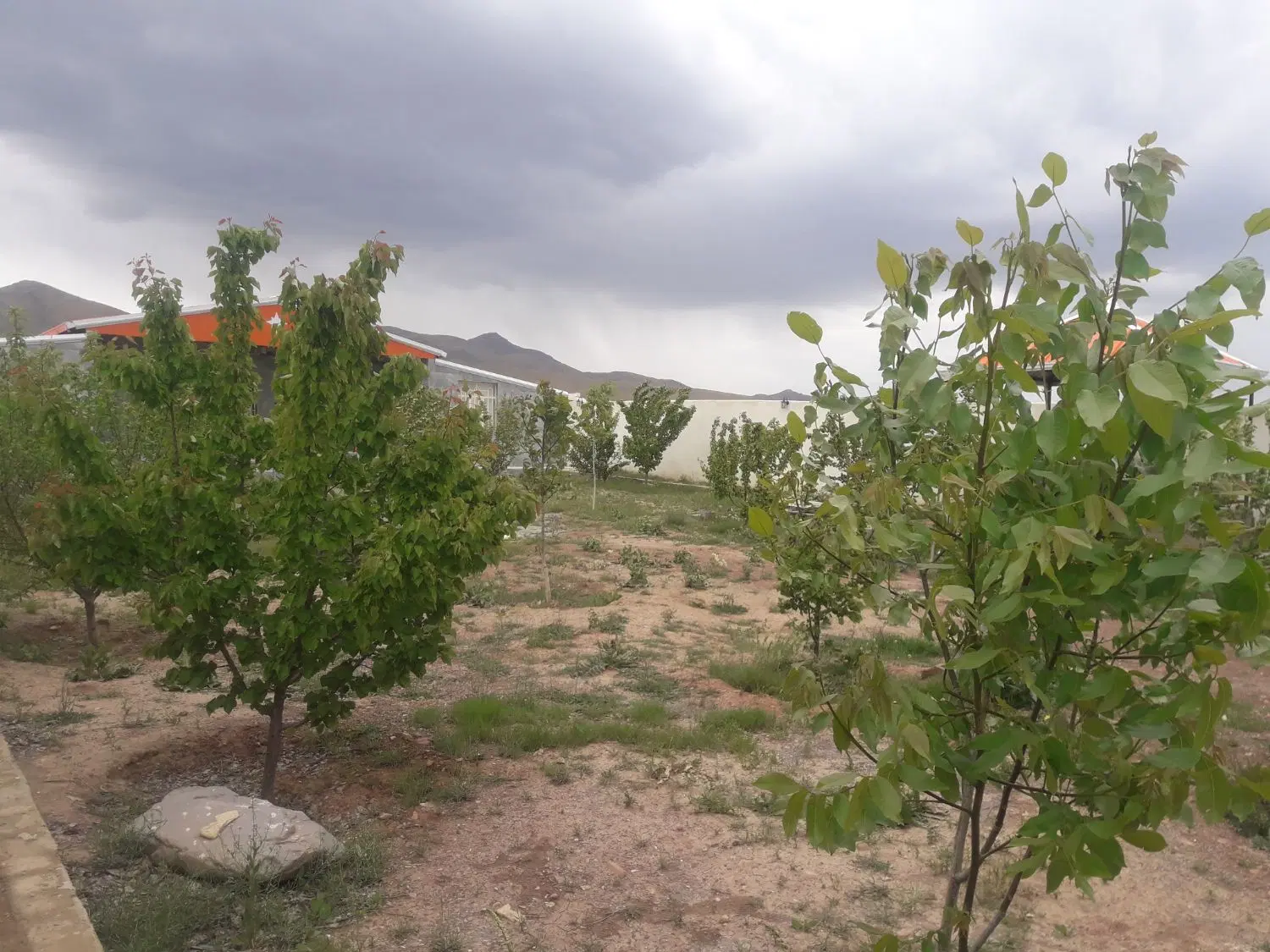 ویلا در روستای مزرعه