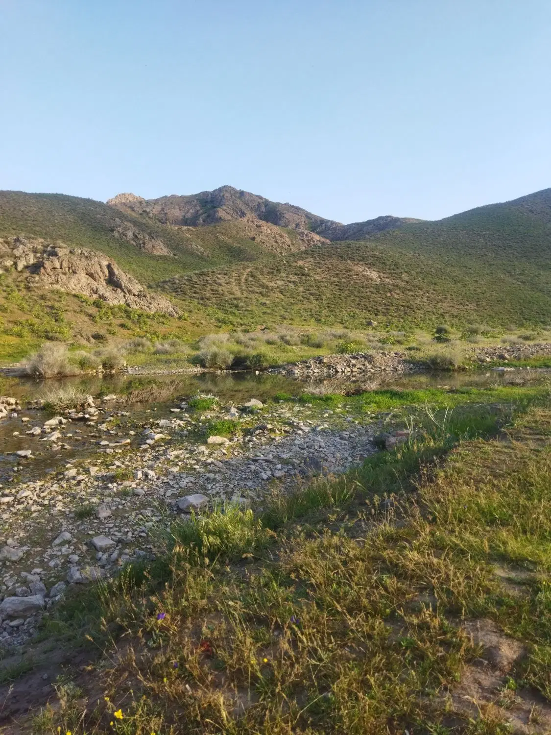 زمین فروشی کناره بام