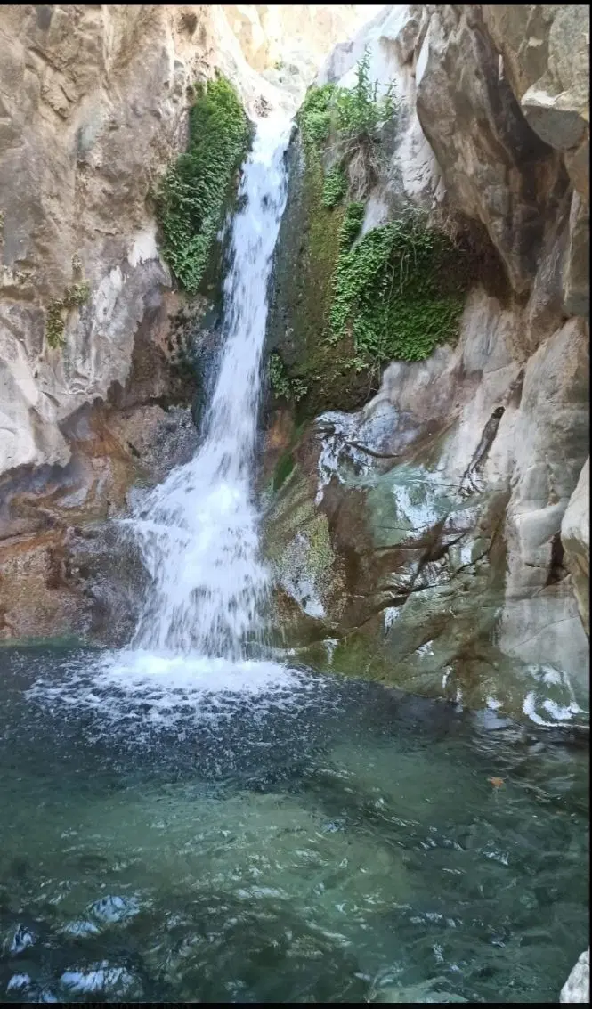 زمین فروشی دلفارد،بنستان(کوچه سنگ فرش)