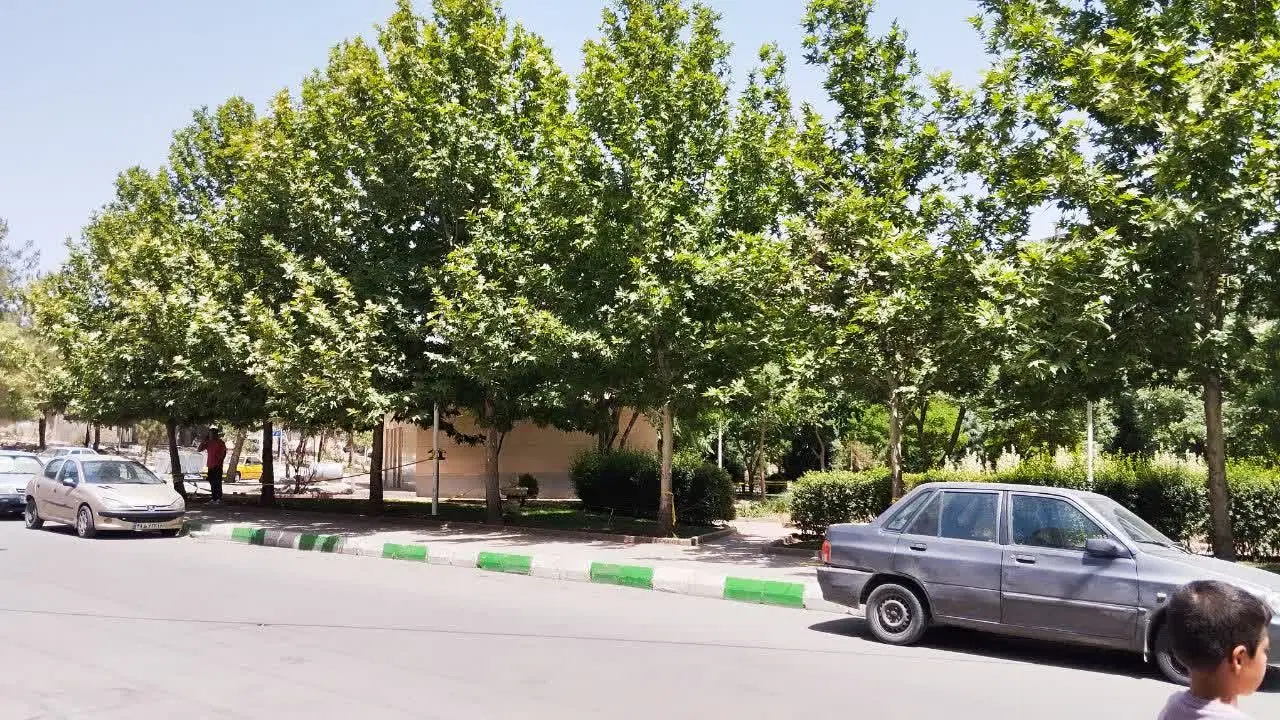 تجاری 15متری