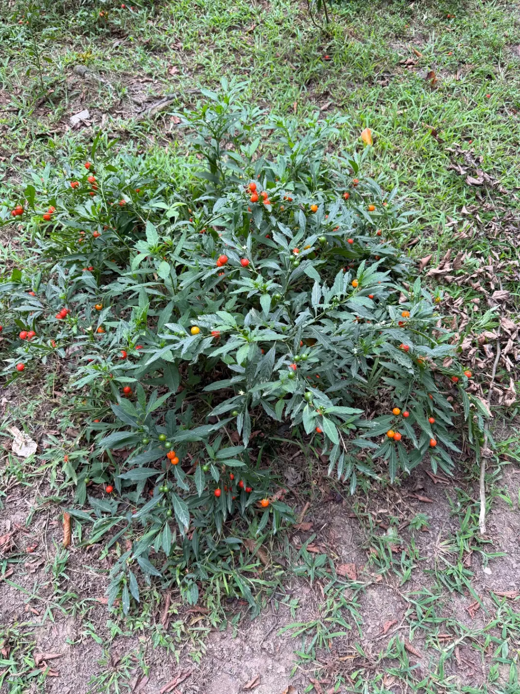 فروش زمین