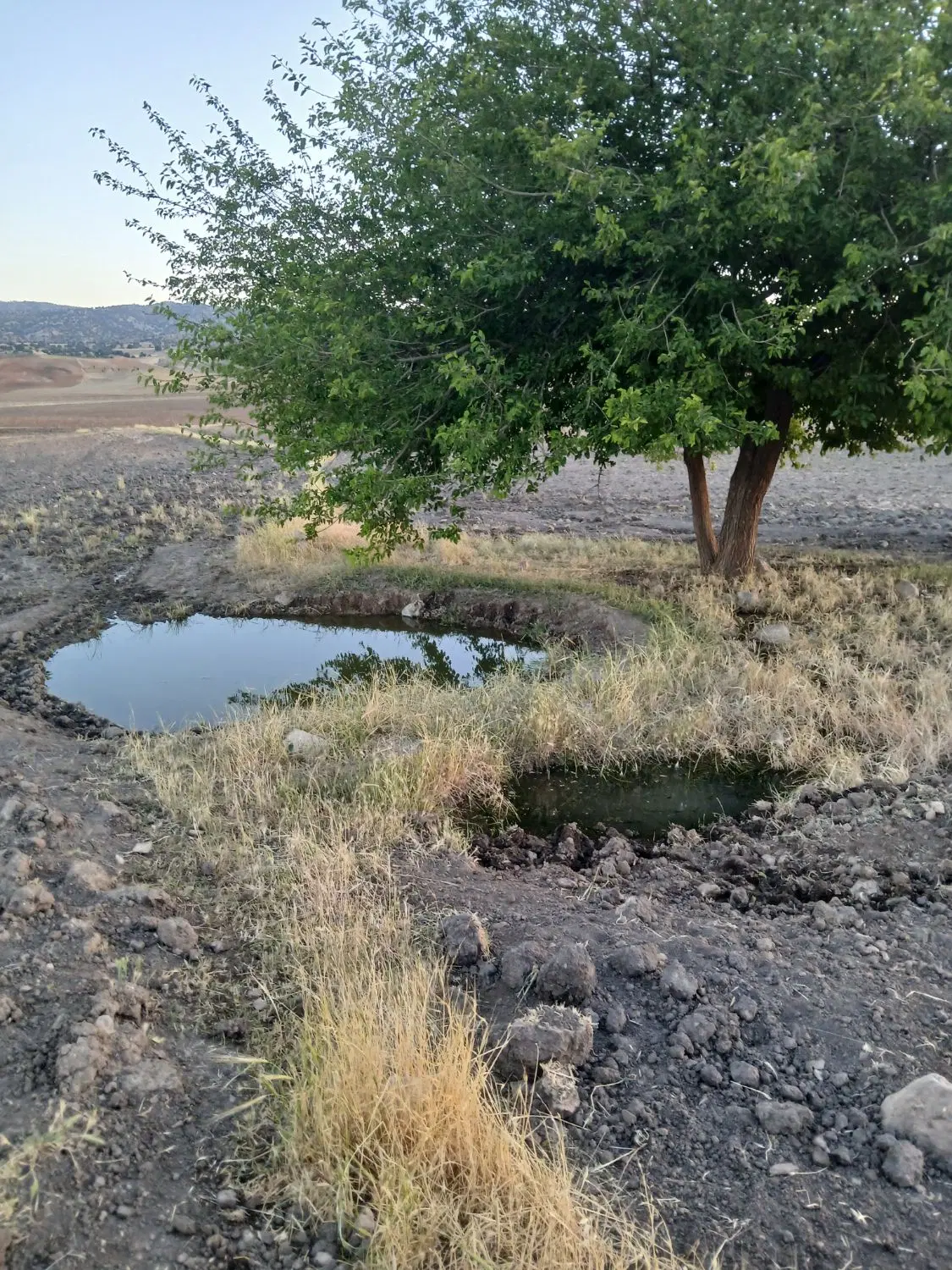 زمین روبه رو پمپ بنزین شهبازی