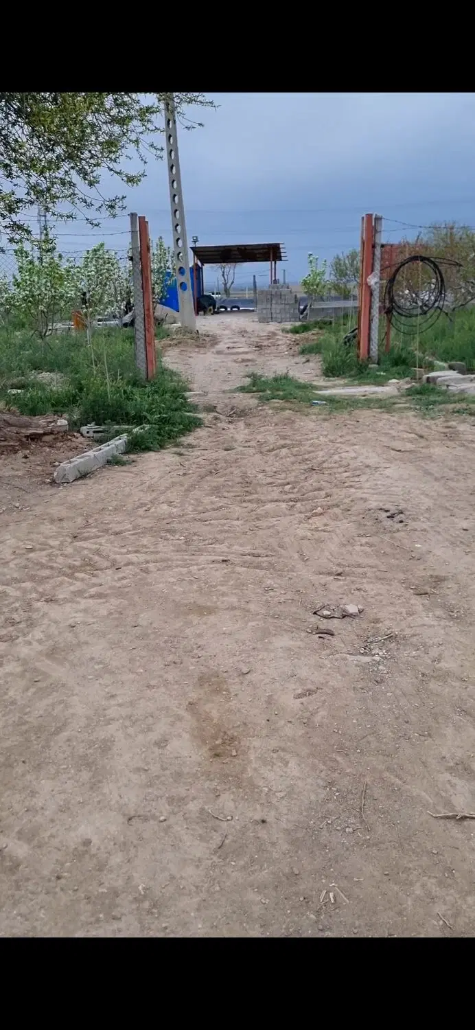 باغ گلابی وبادام