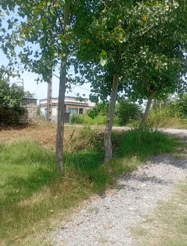 زمین شهرکی بافت بدون واسطه