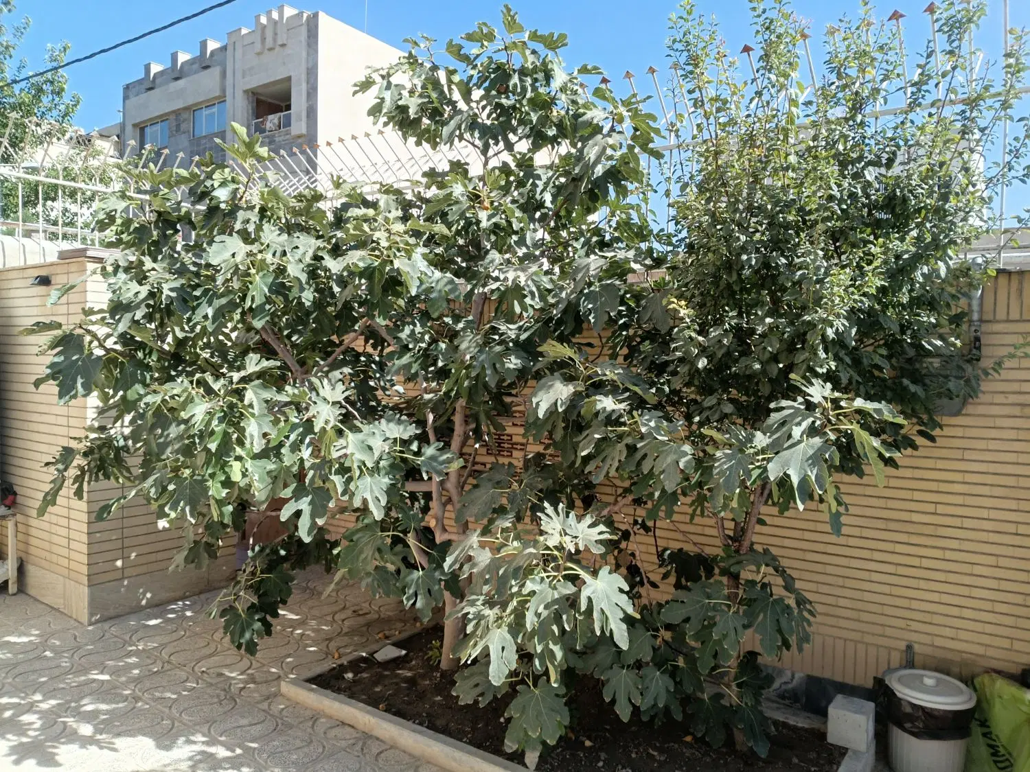 ویلایی شمالی  ۳ خواب  شیخ بهایی