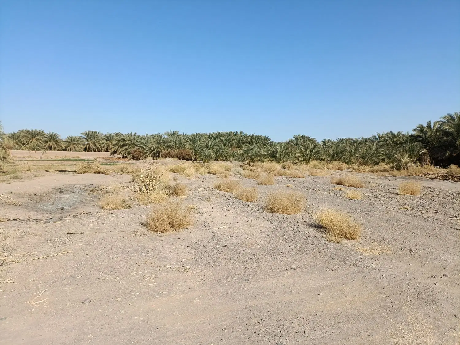 فروش زمین