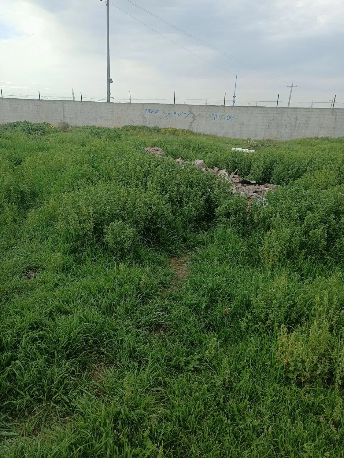 زمین مسکونی