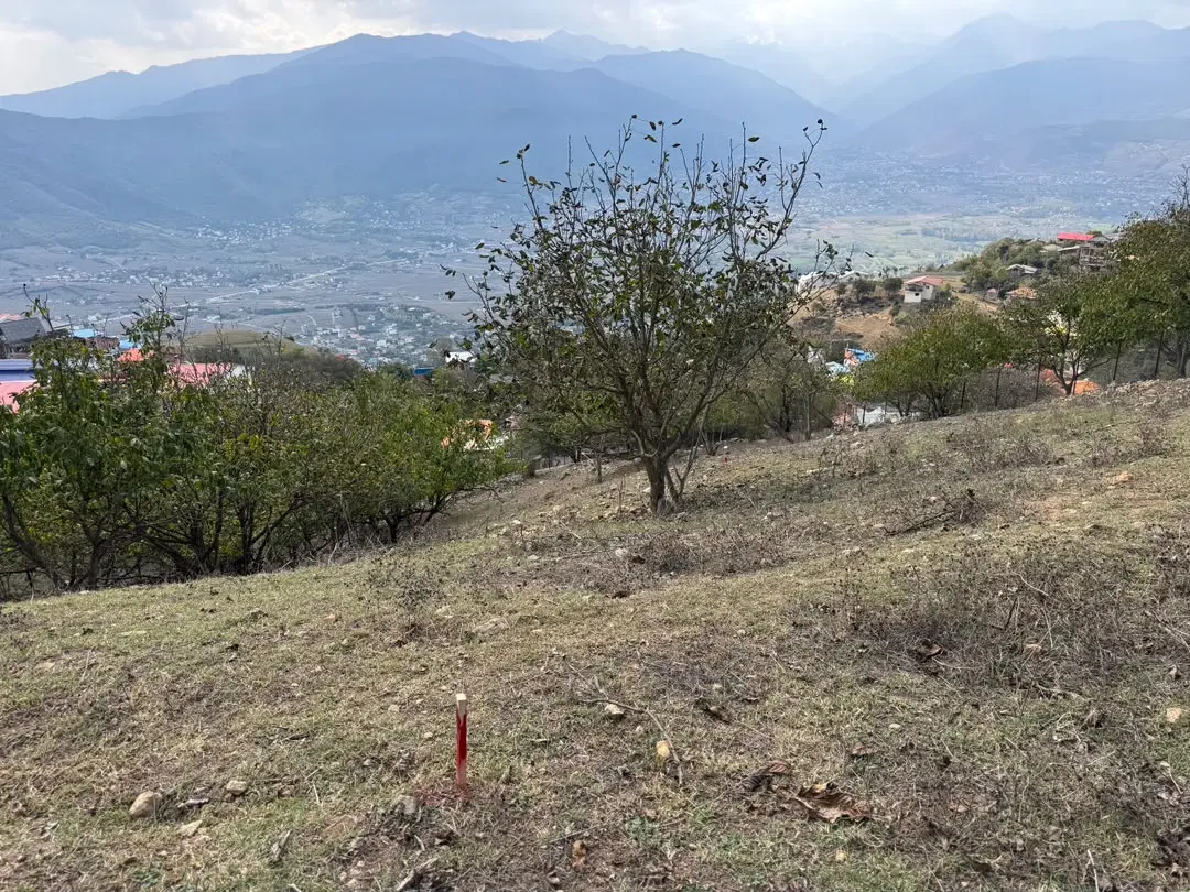 زمین دربام کلاردشت کلمه
