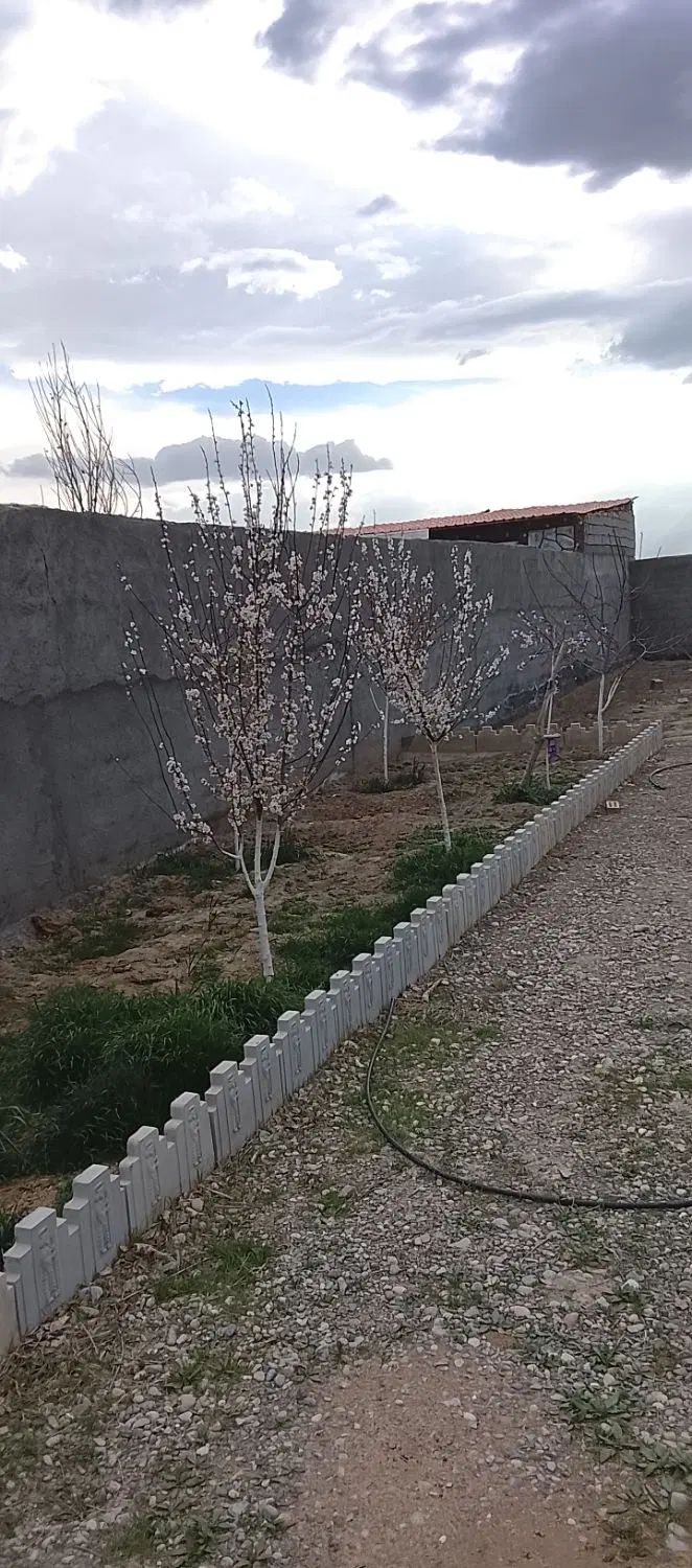 زمین باغی