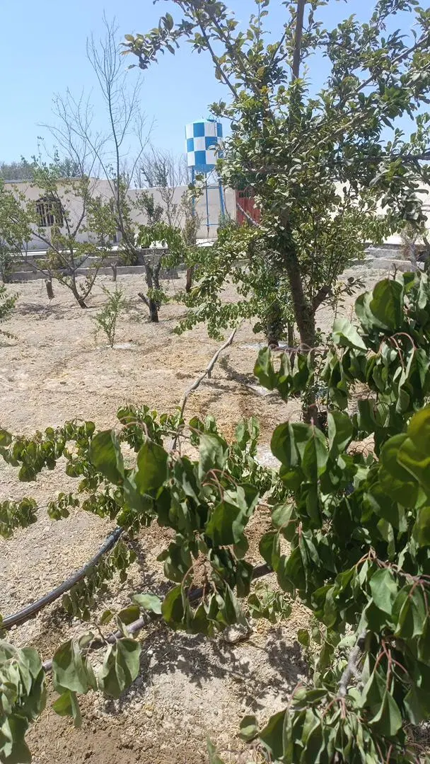 زمین تجاری و اداری چیتگر