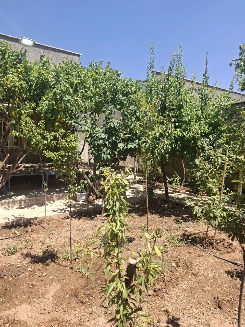 بر۲۴متری سعدی ۱۵خردادزمین جنوبی ۴طبقه وتجاری