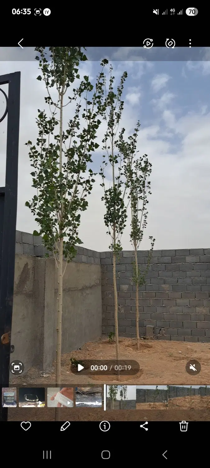 باغ دور دیوار و سالن پرورش