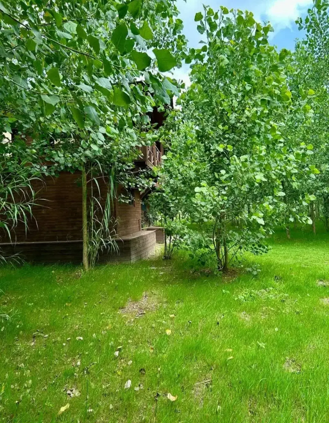 کلبه چوبی ویلایی با طراحی منحصر به فرد