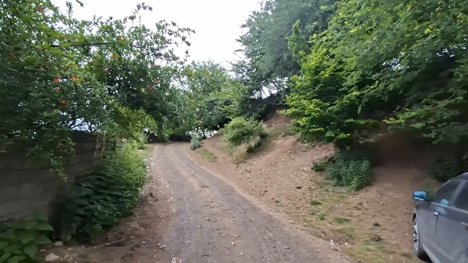 فروش زمین پلاک یک جنگل روستای بلیران