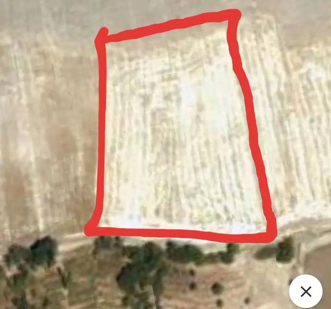 زمین کشاورزی