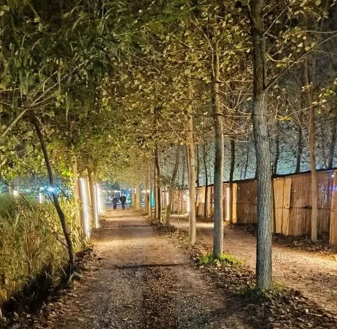 طبیعتی بکر