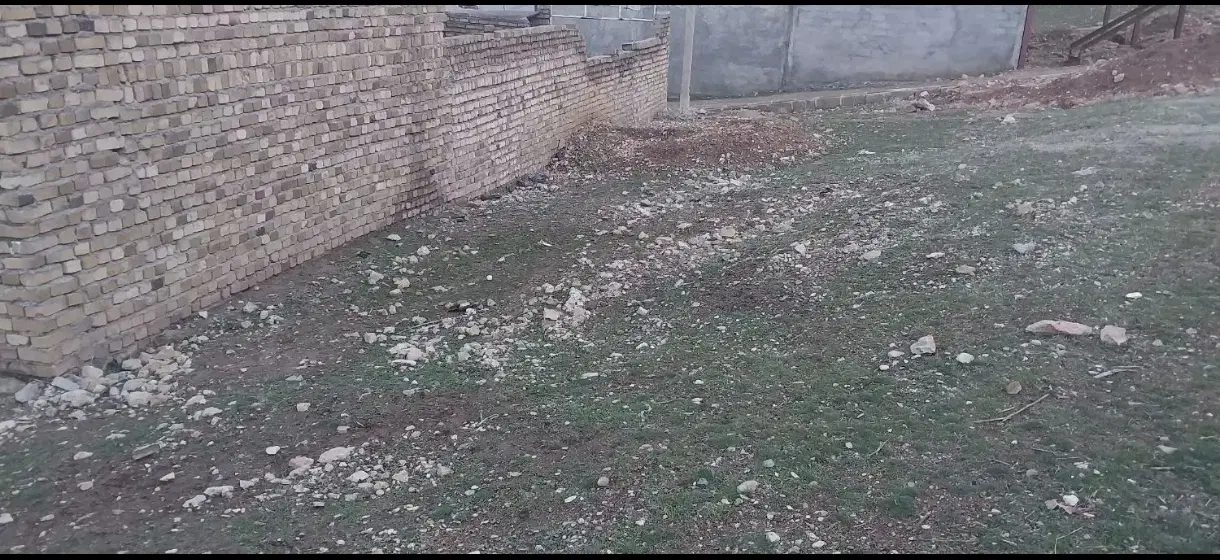 زمین پاپی خالدار سفلی
