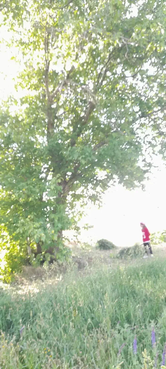 زمین   جهت خانه باغ