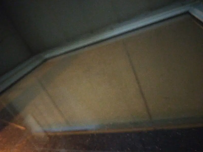 همخونه
