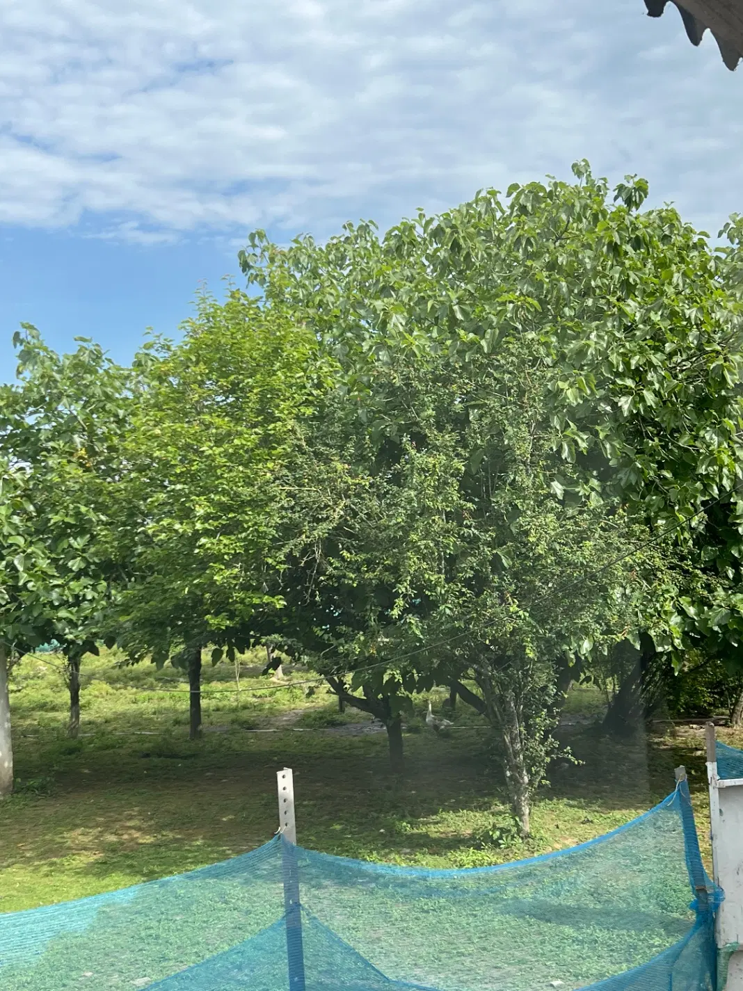 فروش زمین‌ ساحلی