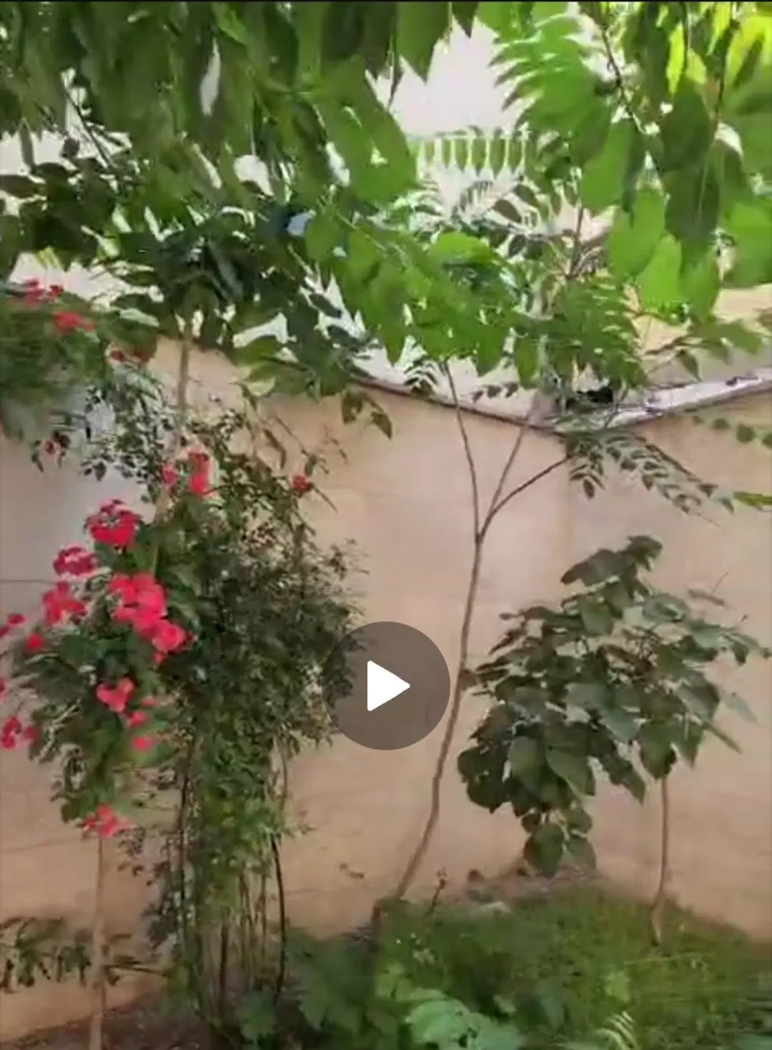 اجاره واحد مسکونی