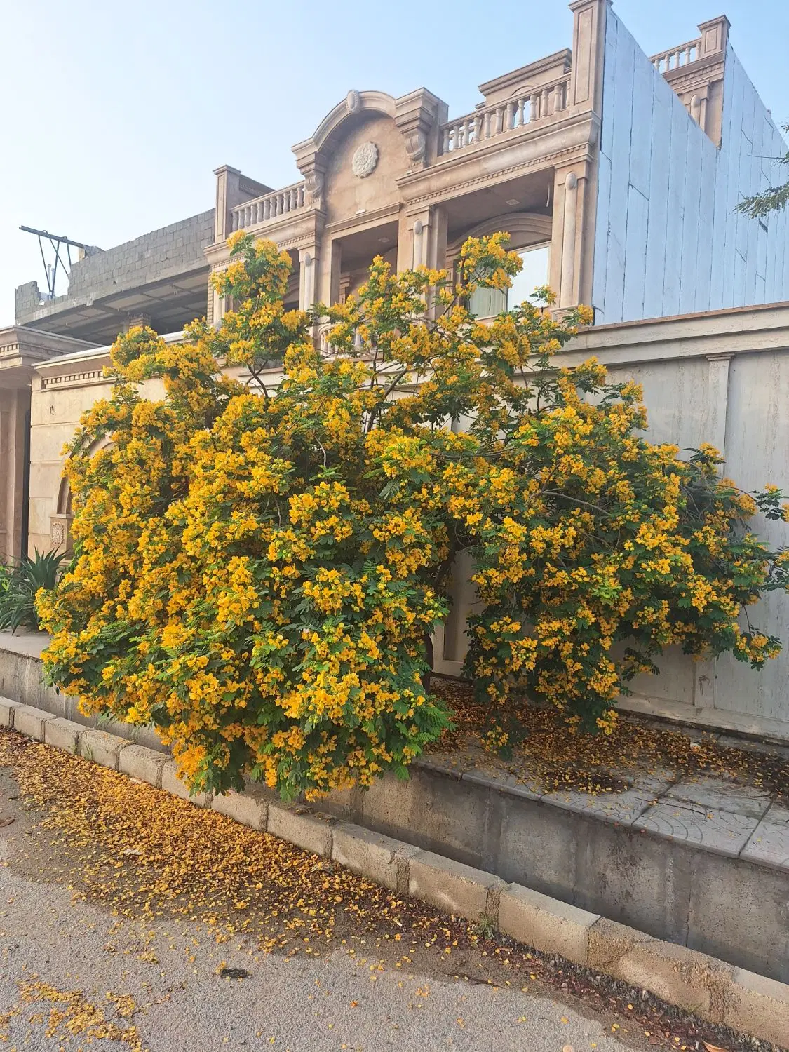 ۱۴۲۲ متر زمین بر اتوبان