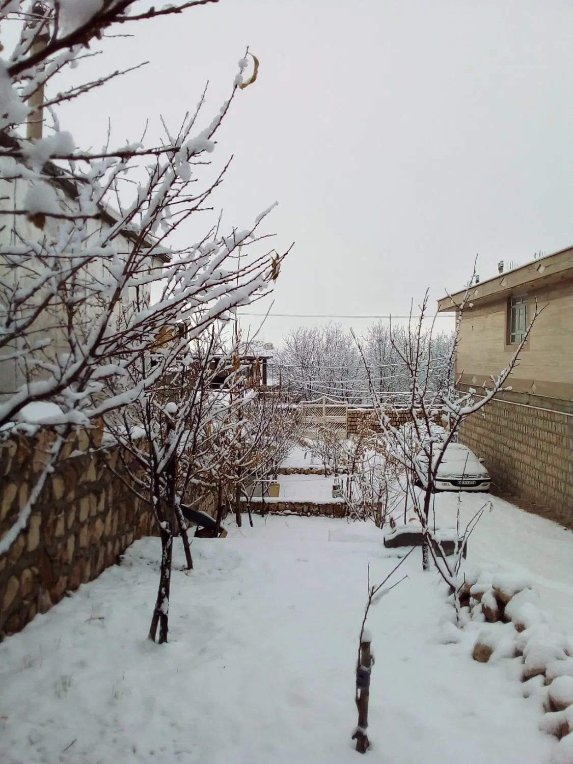 زمین تجاری
