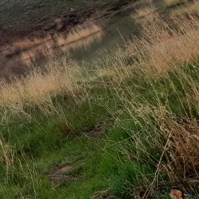 ۵۰۰ متر با کاربری مسکونی داخل بافت روستایی