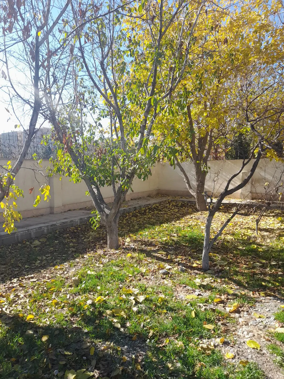 ویلایی ۲۲۵۰ متری شهرک ناز