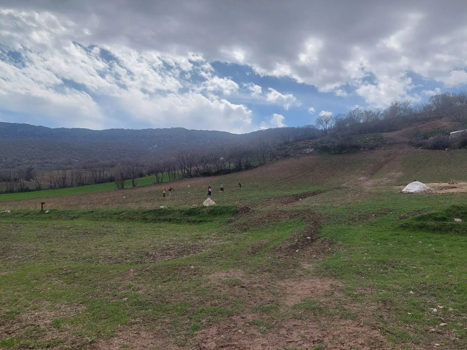 زمین باغی در کورانه