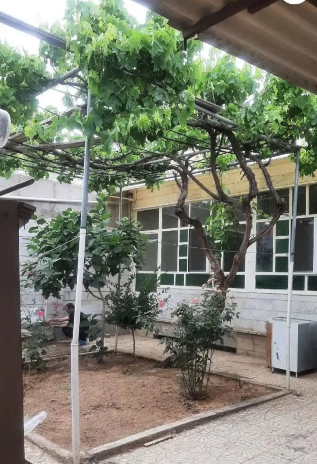 اجاره‌‌خونه‌ویلایی
