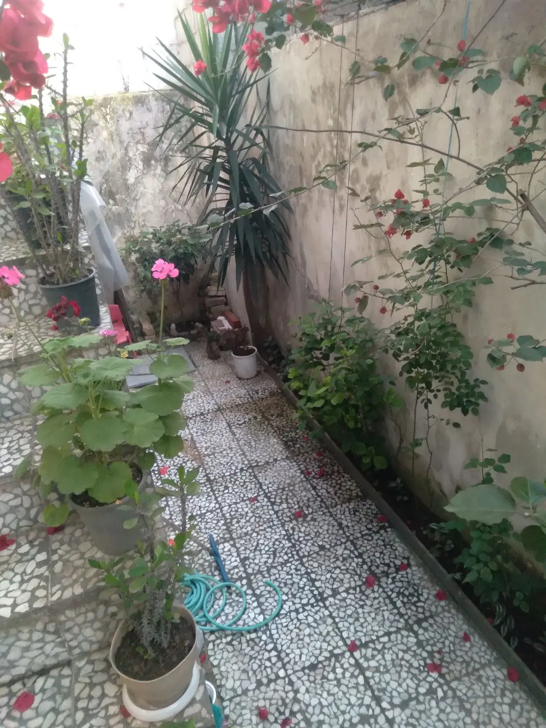 خانه ویلایی