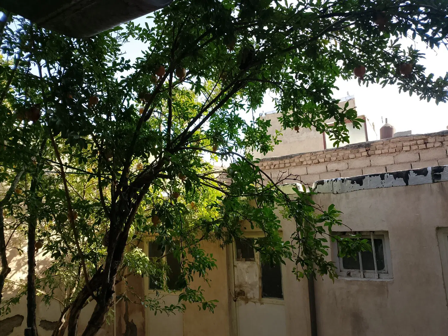منزل ویلایی دربست