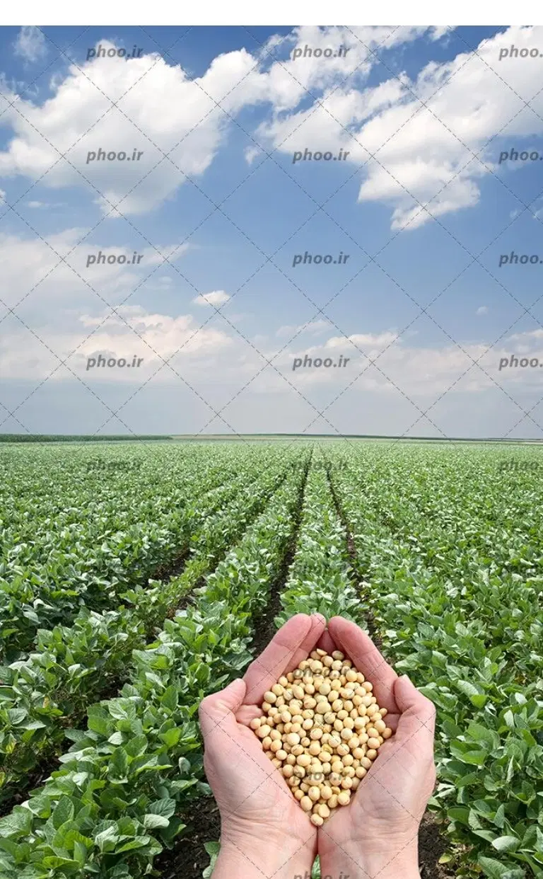 ۵۰۰۰متر زمین کشاورزی فرصتی جهت سرمایه‌گذاری