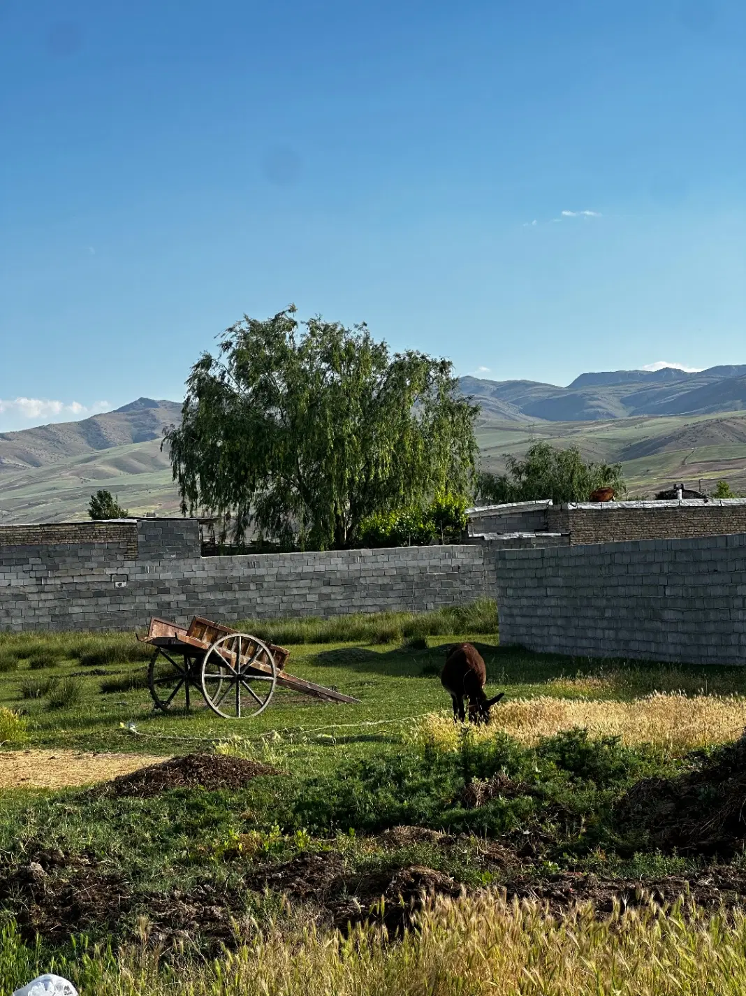 زمین خالی داخل روستا