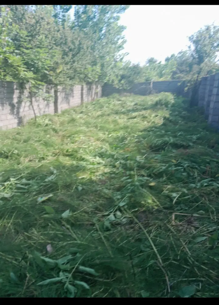 زمین باغی ۲۳۰ متر