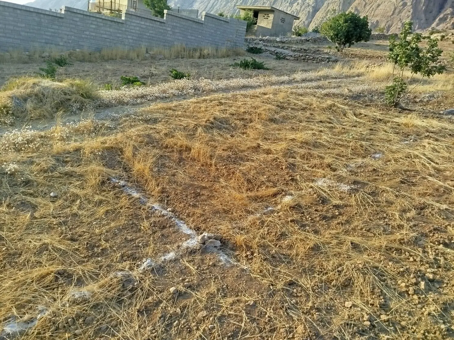زمین باغ