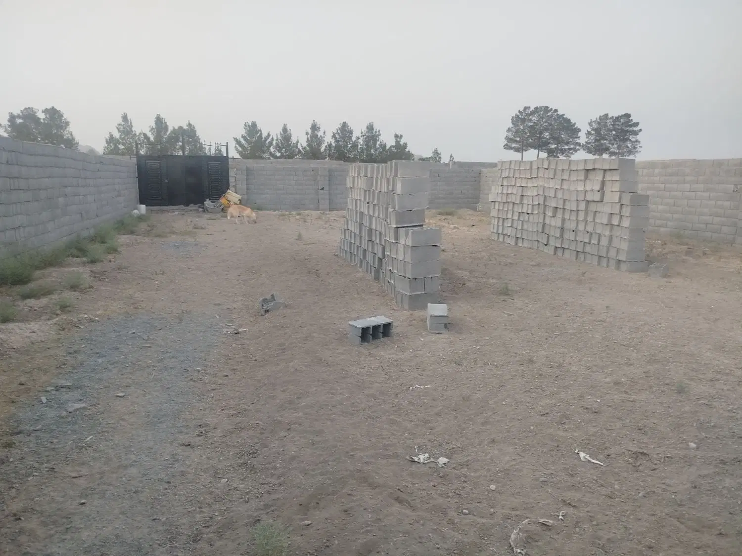 باغ 450متری حیدرآباد دشتی
