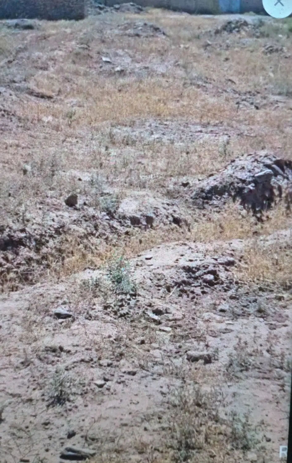 زمین فروشی