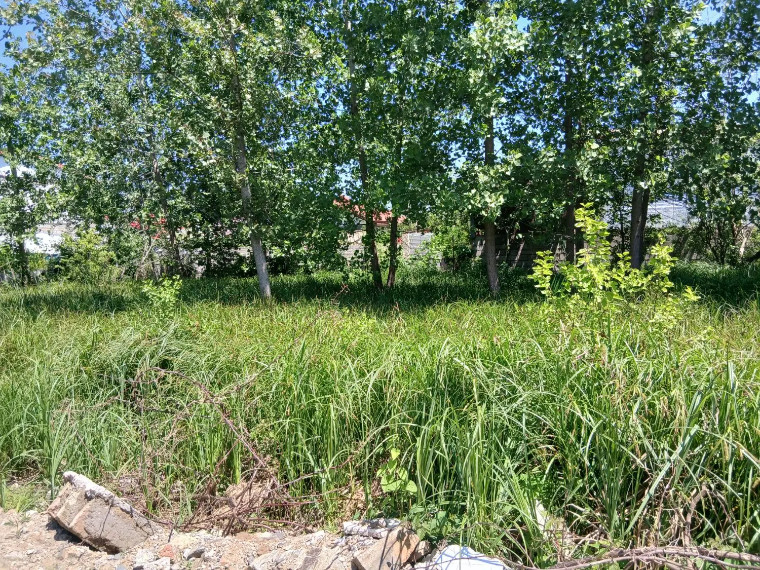 فروش زمین مسکونی روستایی
