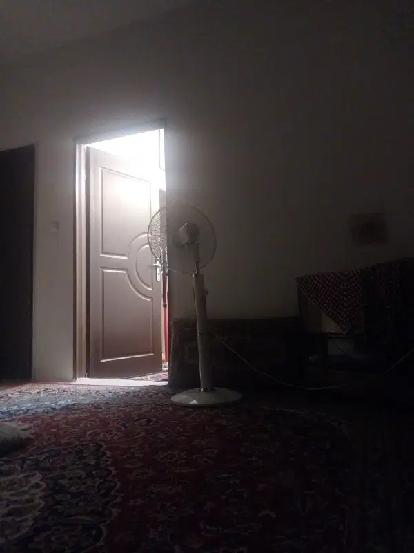 همخانه
