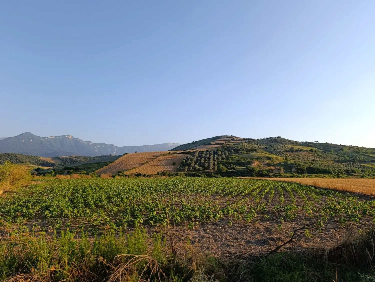 فروش زمین واقع در روستای سرسبز کلاسنگیان