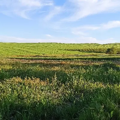 زمین ۴۰۰